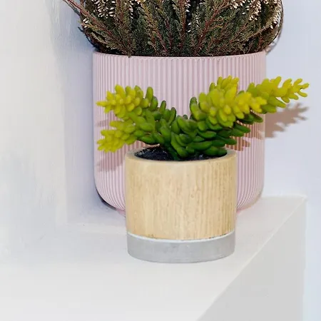 Le Cathedrale - Hypercentre - Wifi Apartman